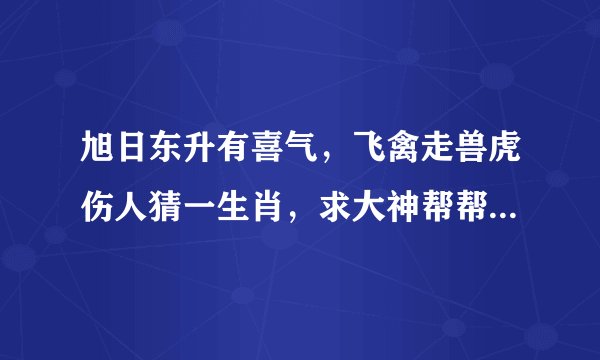 旭日东升有喜气，飞禽走兽虎伤人猜一生肖，求大神帮帮忙，谢谢