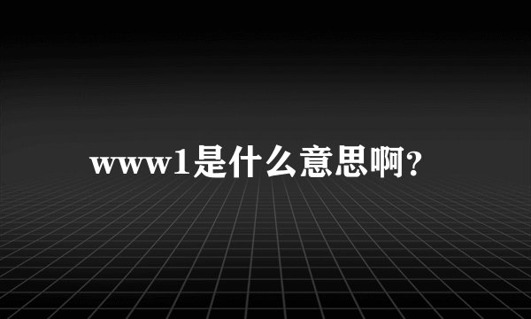 www1是什么意思啊？