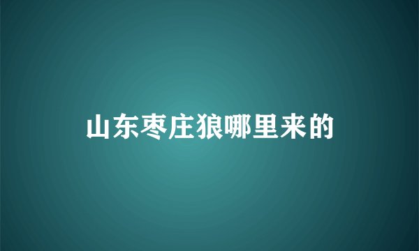 山东枣庄狼哪里来的
