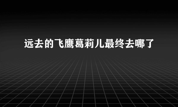 远去的飞鹰葛莉儿最终去哪了