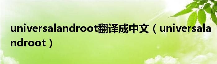 universalandroot翻译成中文universalandroot