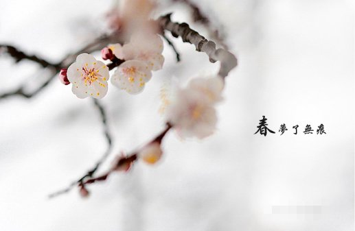 春梦了无痕是什么意思?