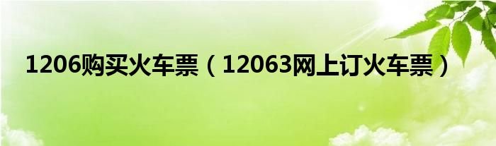 1206购买火车票12063网上订火车票
