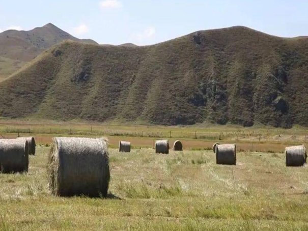 什么是内蒙古生态系统保护的首要任务