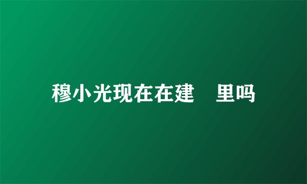 穆小光现在在建犾里吗