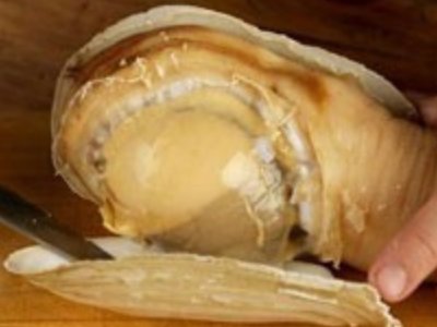 象拔蚌进到里面了怎么办？