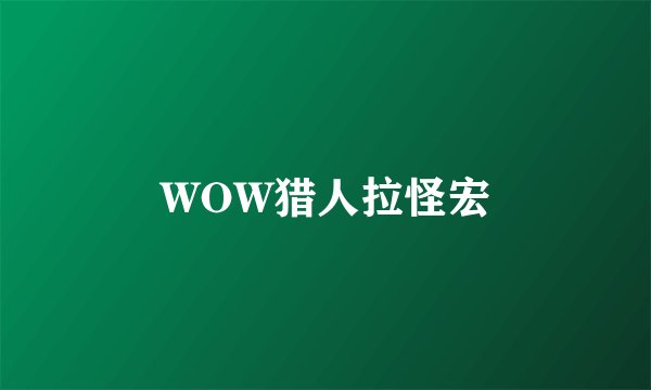 WOW猎人拉怪宏