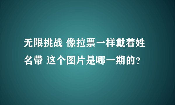 无限挑战 像拉票一样戴着姓名带 这个图片是哪一期的？