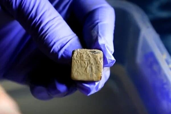 九层妖塔主人身份曝光,究竟有何背景?