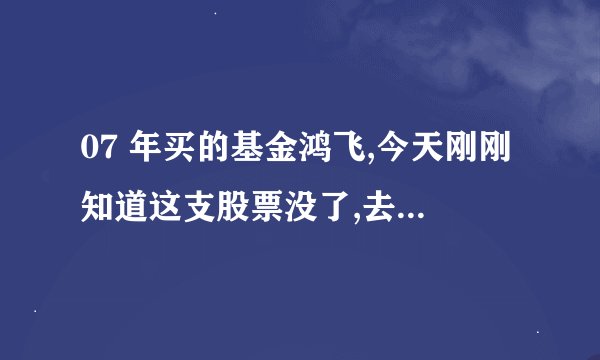 07 年买的基金鸿飞,今天刚刚知道这支股票没了,去哪里要钱呢.