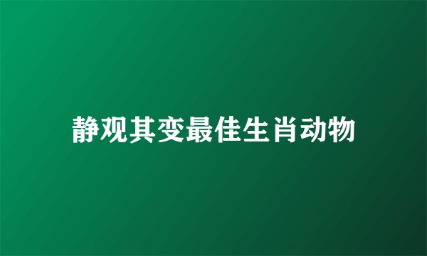 静观其变最佳生肖动物