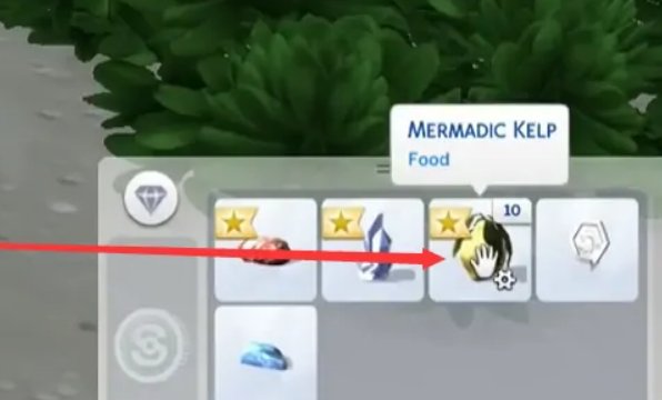 人类变美人鱼方法