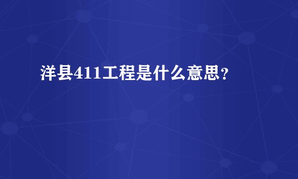 洋县411工程是什么意思？