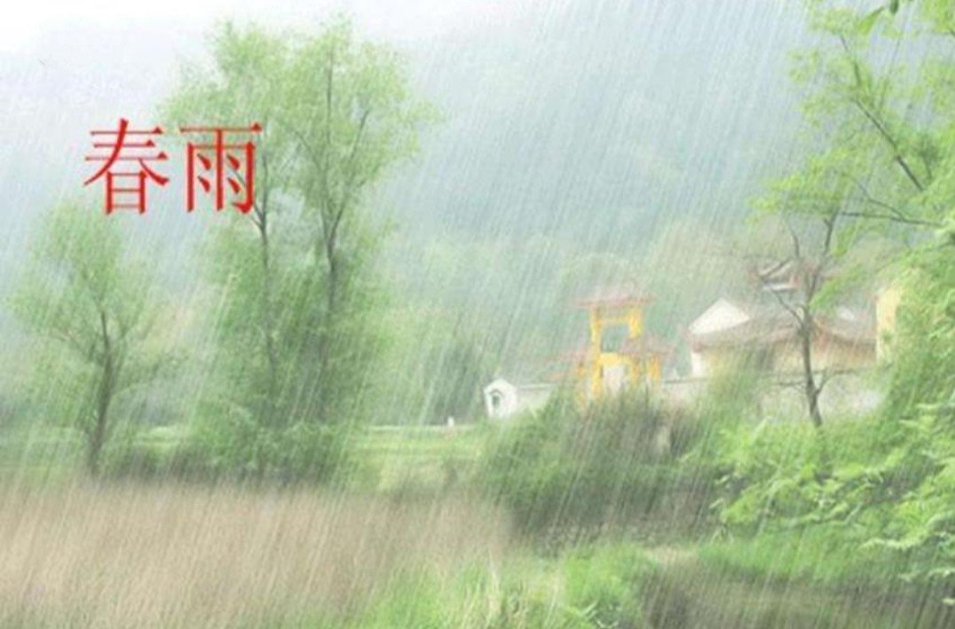 《春雨》艾青赏析，急求！