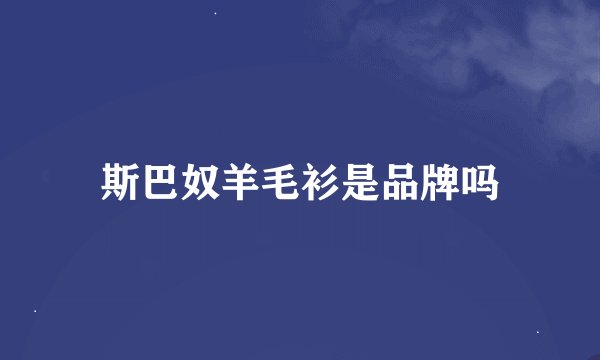 斯巴奴羊毛衫是品牌吗
