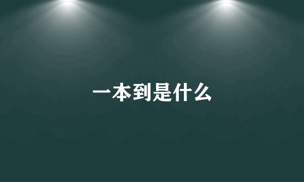 一本到是什么