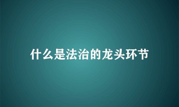 什么是法治的龙头环节
