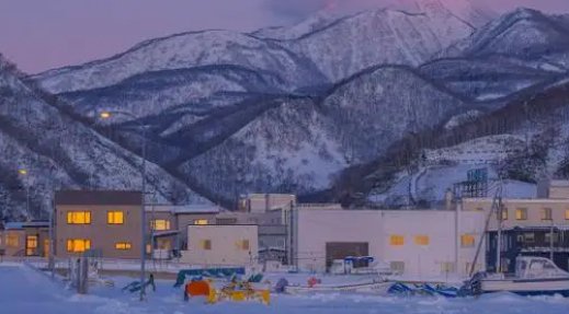 什么叫“二九天”?