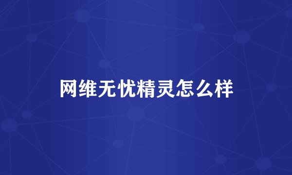 网维无忧精灵怎么样