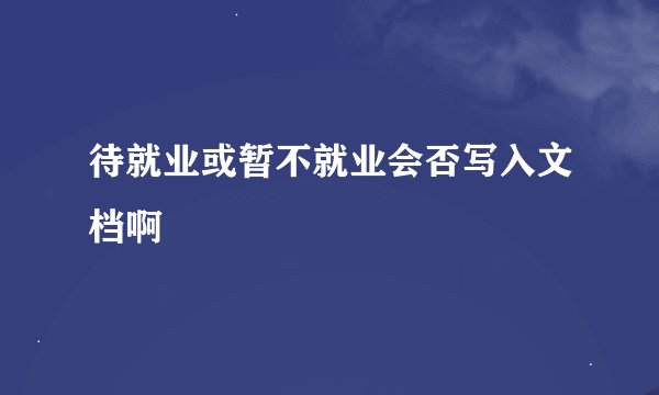 待就业或暂不就业会否写入文档啊
