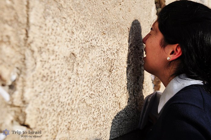 历史在这里哭泣的作者简介