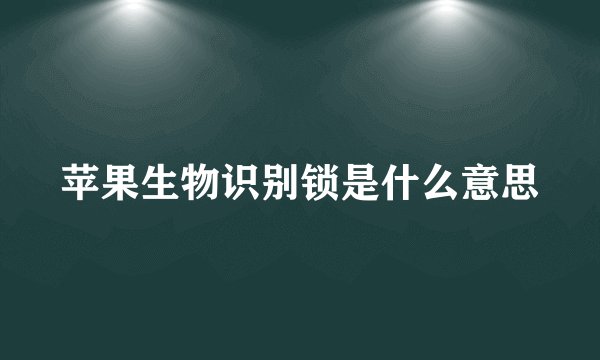 苹果生物识别锁是什么意思