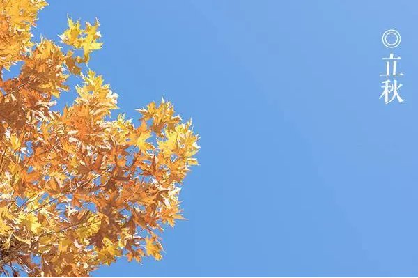 2023年立秋是几点几分几秒晚秋