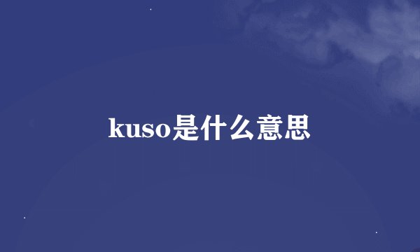 kuso是什么意思