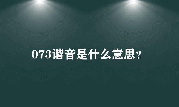 073谐音是什么意思？