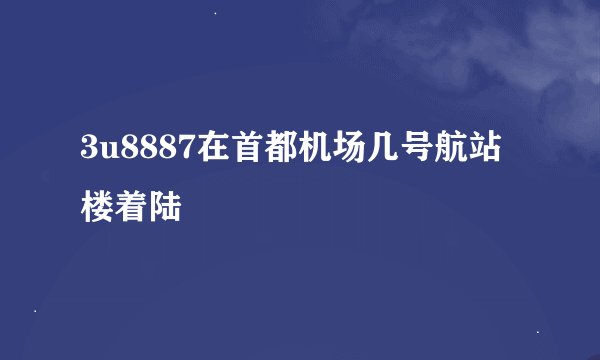 3u8887在首都机场几号航站楼着陆