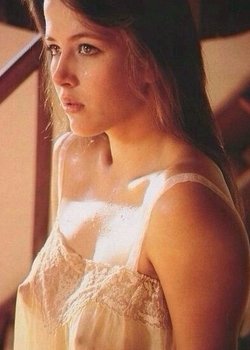 野恋的详细资料