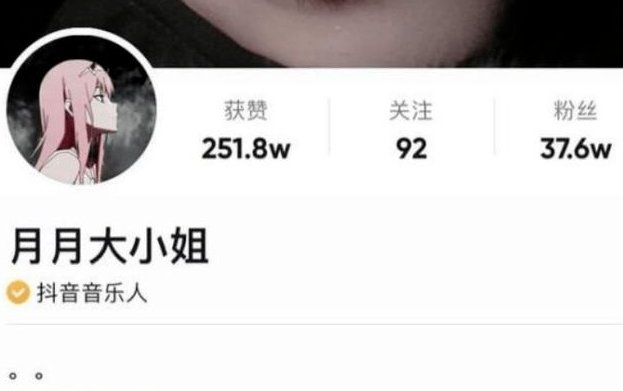 抖音中国速度什么意思？