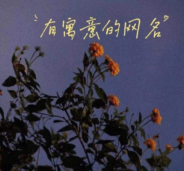 2023年最旺的网名