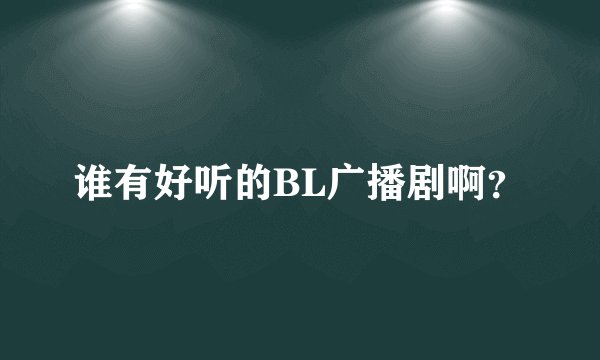 谁有好听的BL广播剧啊？
