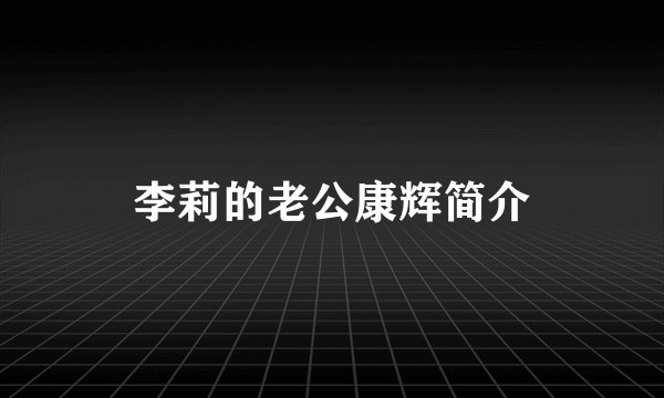 李莉的老公康辉简介