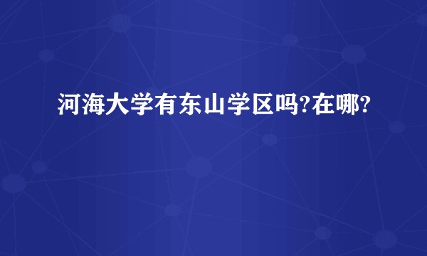 河海大学有东山学区吗?在哪?