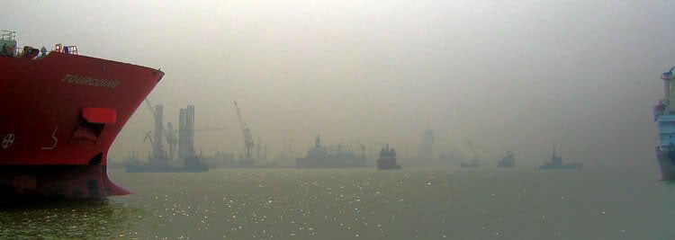 回国驯火记的介绍