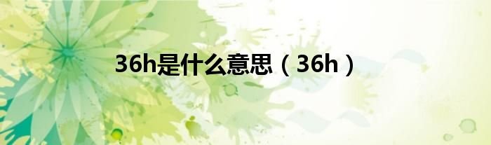 36h是什么意思36h