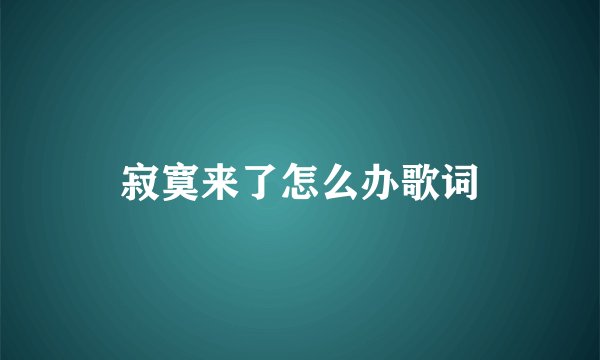 寂寞来了怎么办歌词