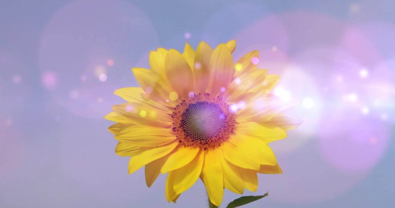 罗大佑《明天会更好》是什么时候写的呢