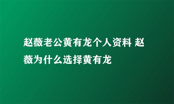 赵薇老公黄有龙个人资料 赵薇为什么选择黄有龙