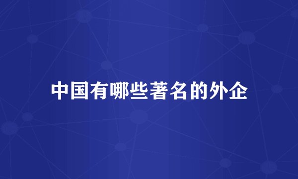中国有哪些著名的外企