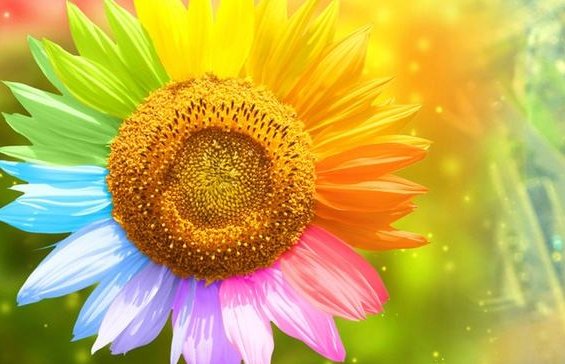 花孩子们在天上的家是怎样的一个家,发挥想象,然后写一写