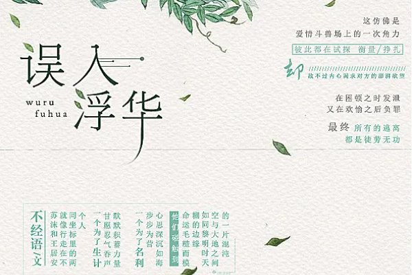 小说误入浮华讲的什么