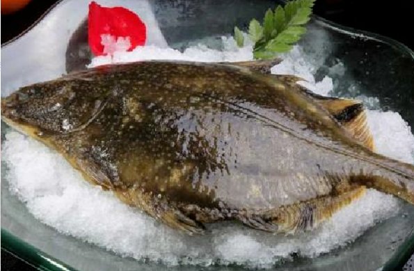 龙利鱼和塔嘛鱼有什么区别啊？