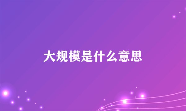大规模是什么意思