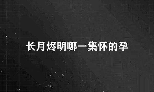长月烬明哪一集怀的孕
