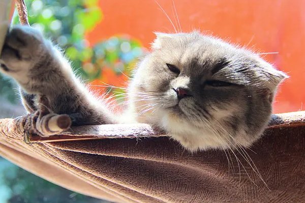 醒来唤醒的英文