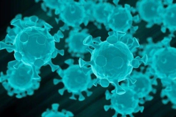 北京一对夫妻确诊后，远在益阳的母亲也被检测为阳性，他们是如何被感染的？