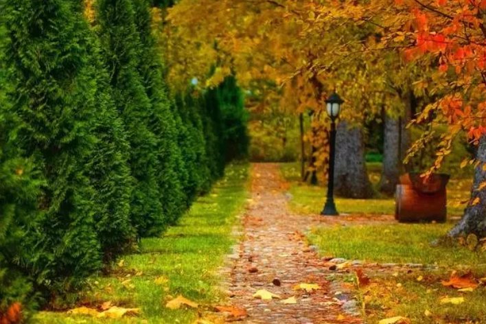 秋的声音仿写句子三年级